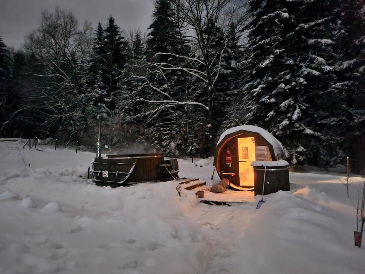 Klimkowka Pod Gwiazdami - Sauna, Jacuzzi, Basen エクステリア 写真